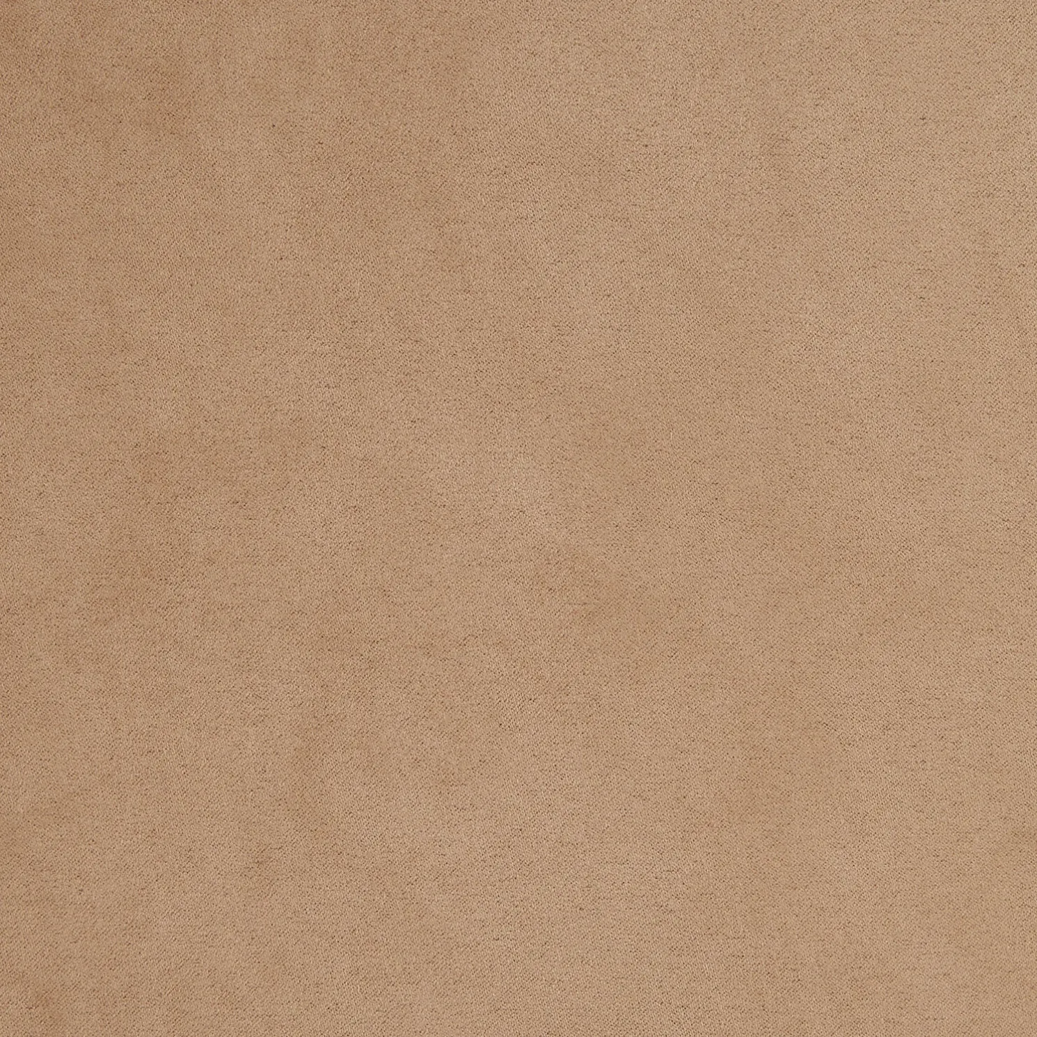 Jack met fluwelen aspect en hemdskraag