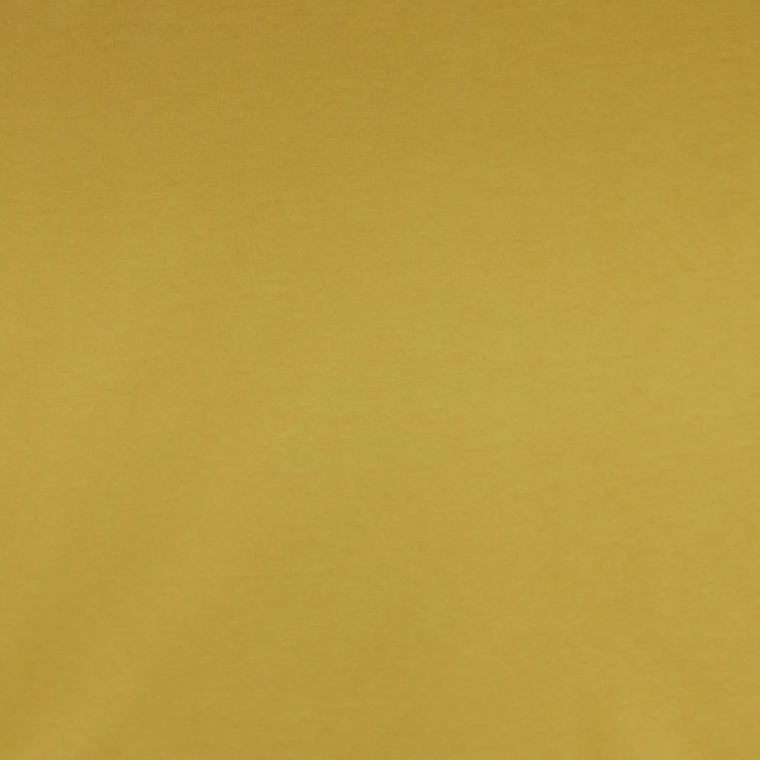 Katoenen T-shirt met ronde hals en print