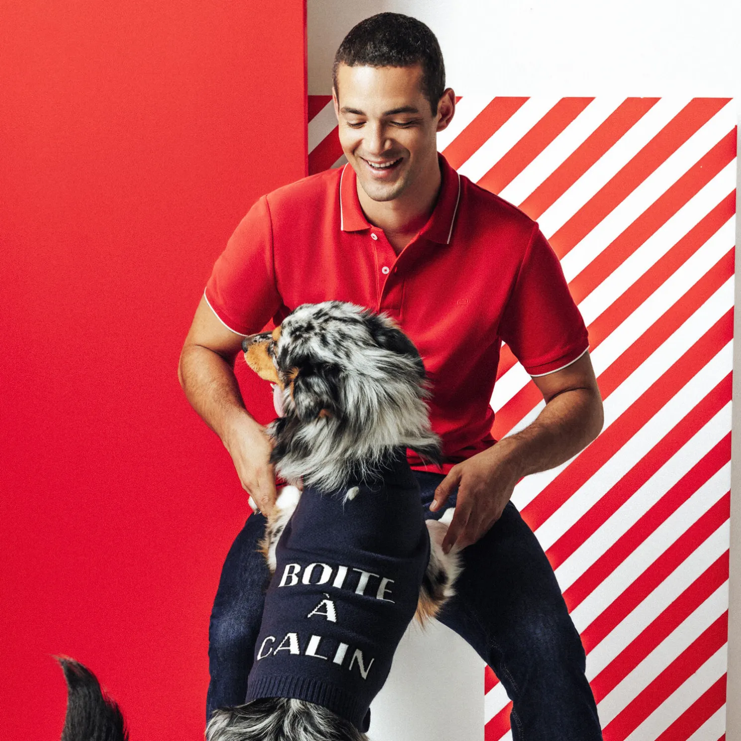 Kersttrui voor honden